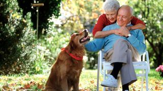 How to Add a Pet Trust to Your Estate Plan: Don't Leave Your Best Friend to Chance