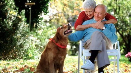 Affectionate senior couple with their dog in the garden