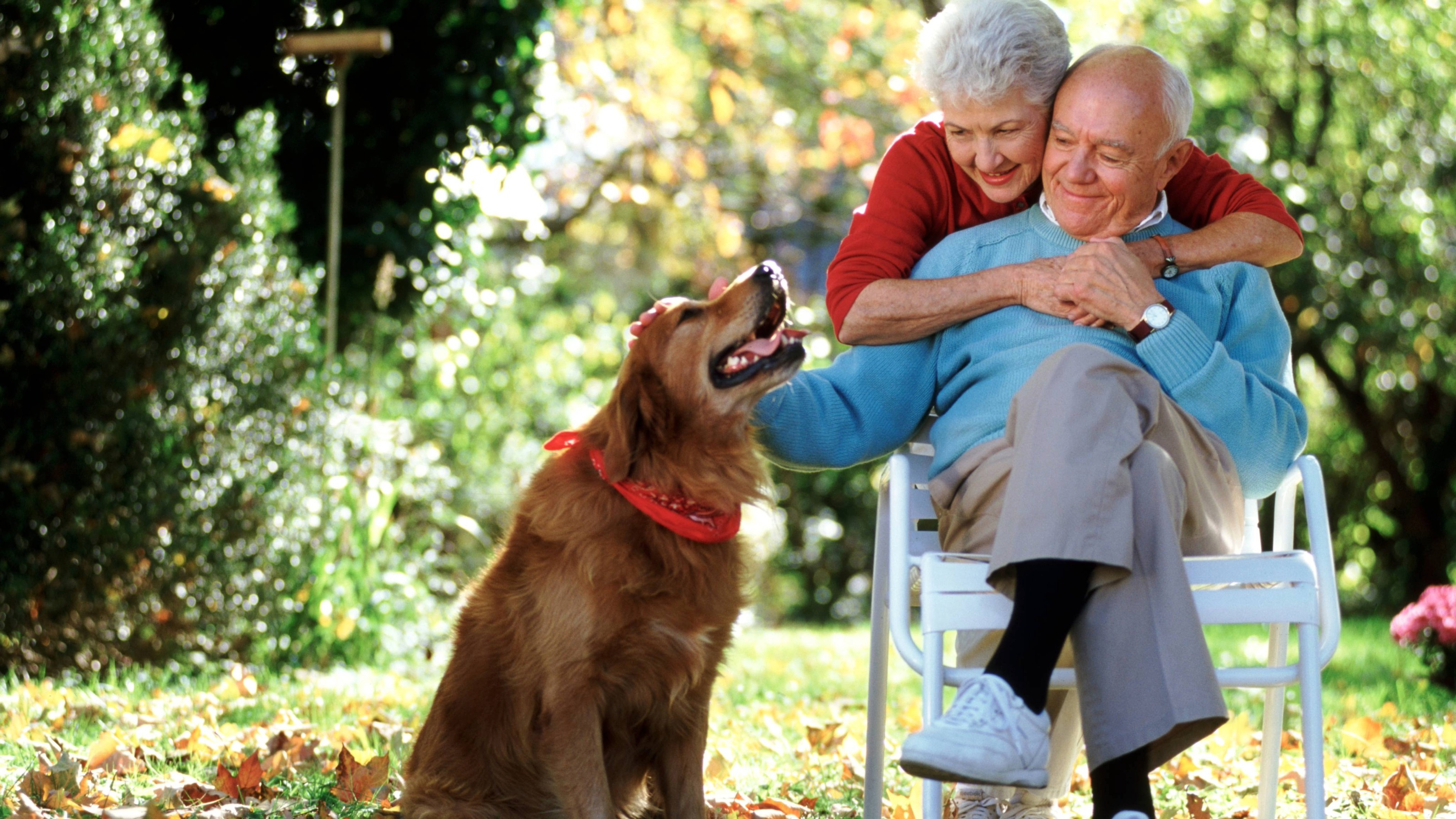 Affectionate senior couple with their dog in the garden