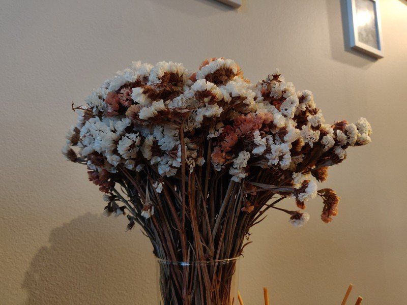OnePlus 6T photo sample