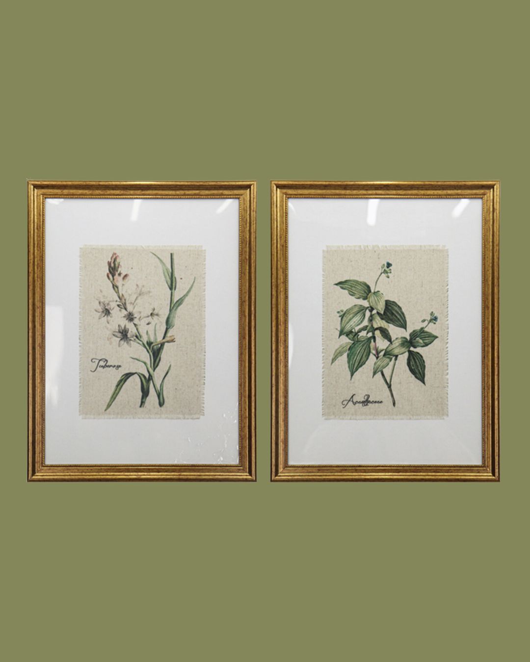 Gold Framed Botanical Flowers Wall Art against green background.