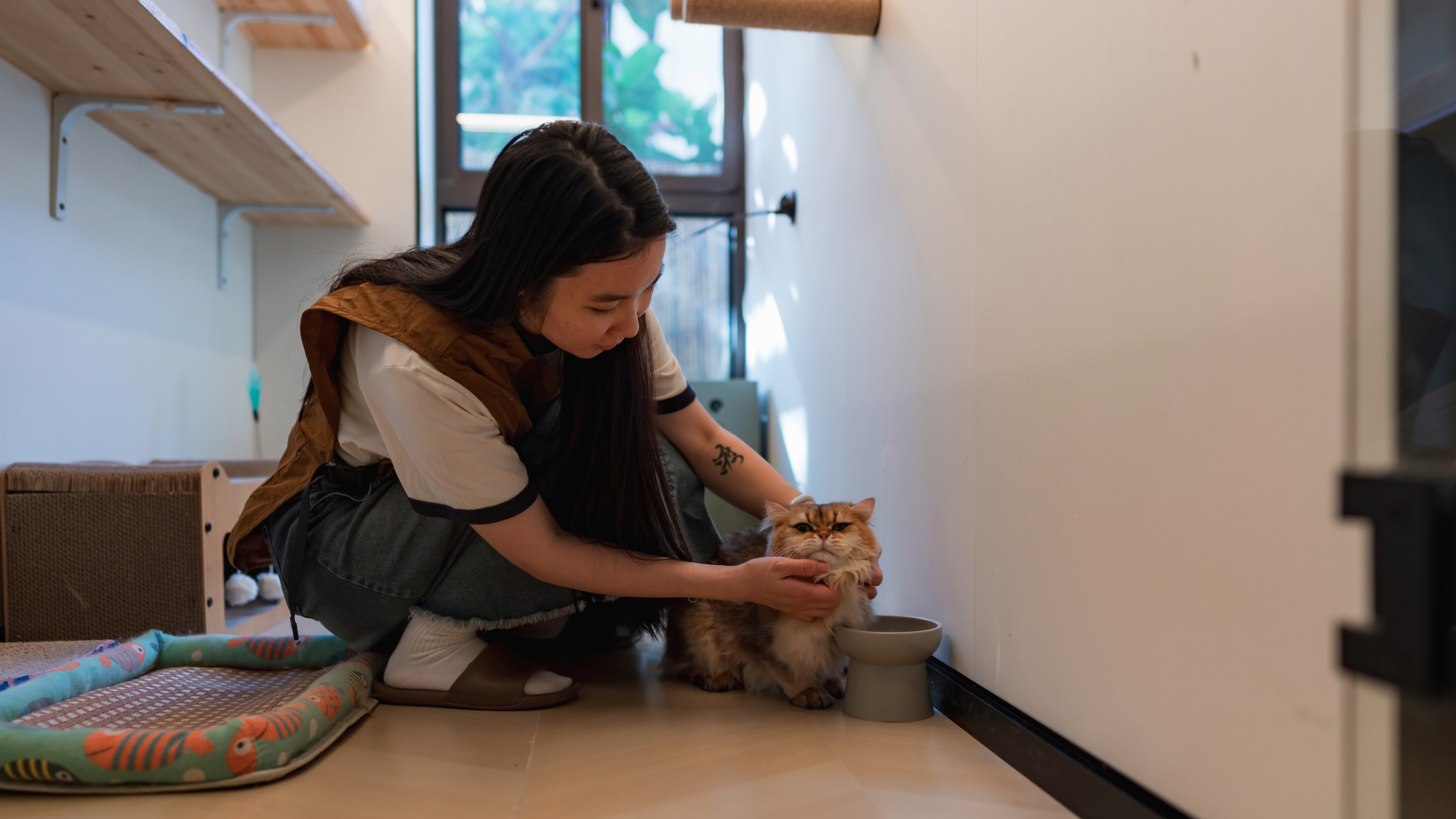 Woman examining cat in cattery