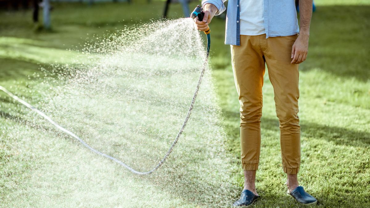 Sprinkler vs. hose which is better for your lawn? Tom's Guide