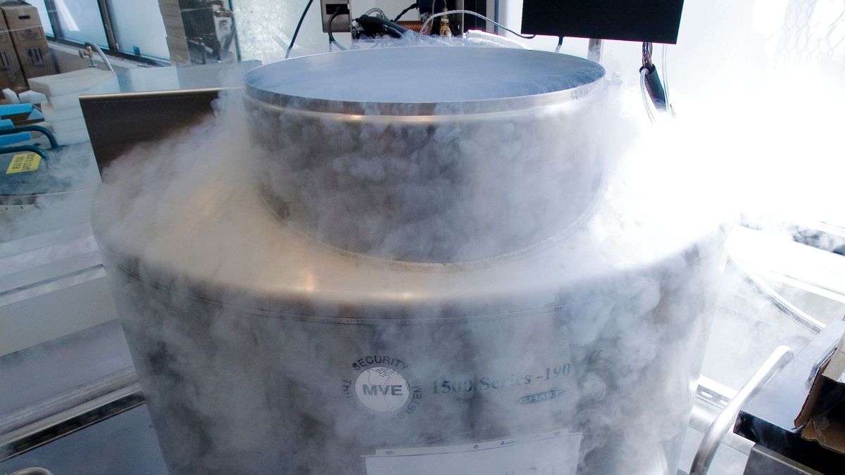 A tank holding frozen human embryos in liquid nitrogen