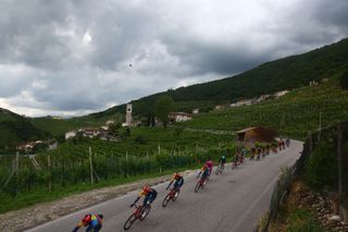 The pack rides through Valdobbiadene vineyards in Santo Stefano during the 18th stage of the 107th Giro d'Italia cycling race, 206km between Fiera di Primiero and Padua on May 23, 2024. (Photo by Luca Bettini / AFP)
