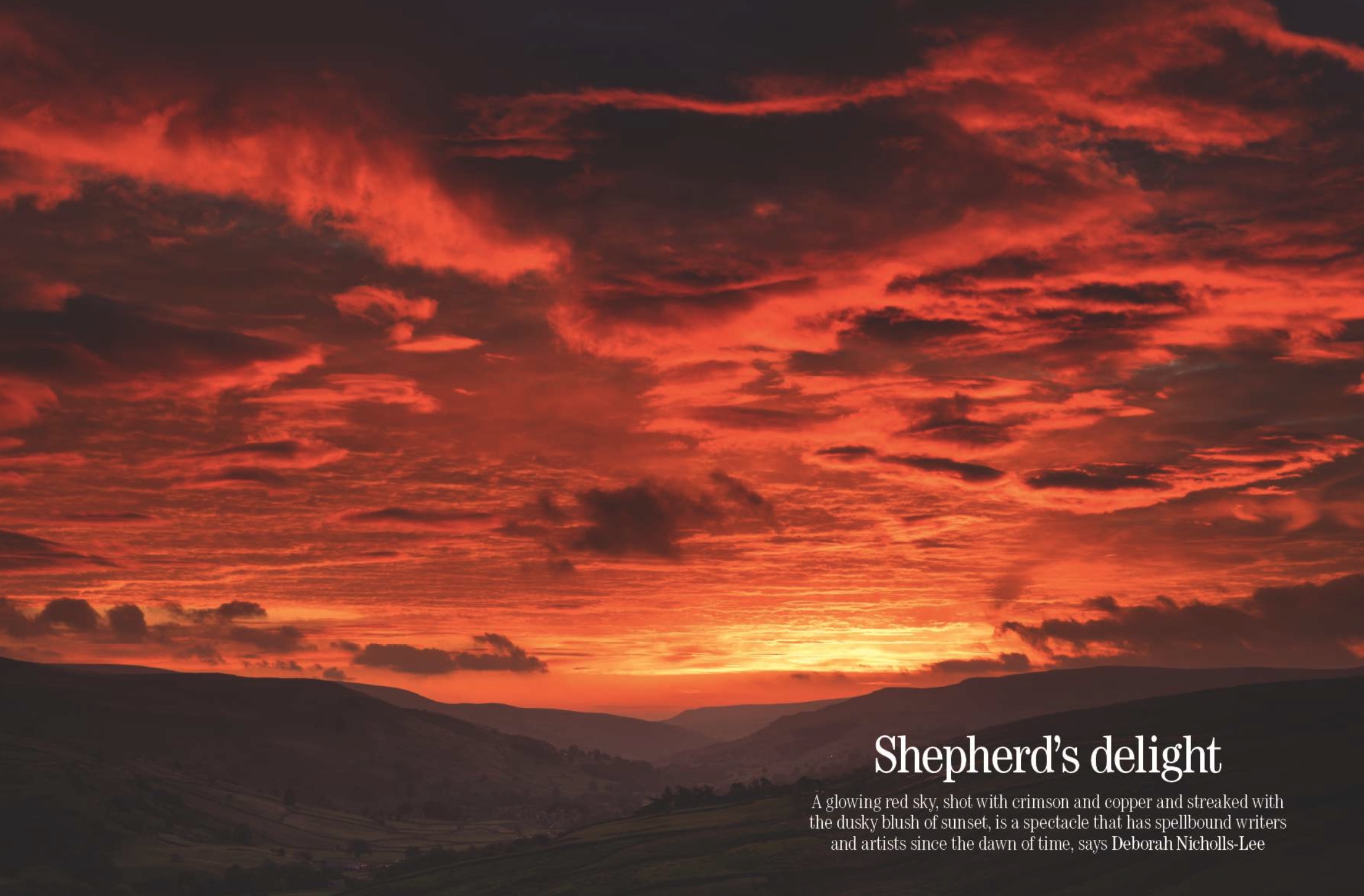 Spreads from Country Life June 24, 2026