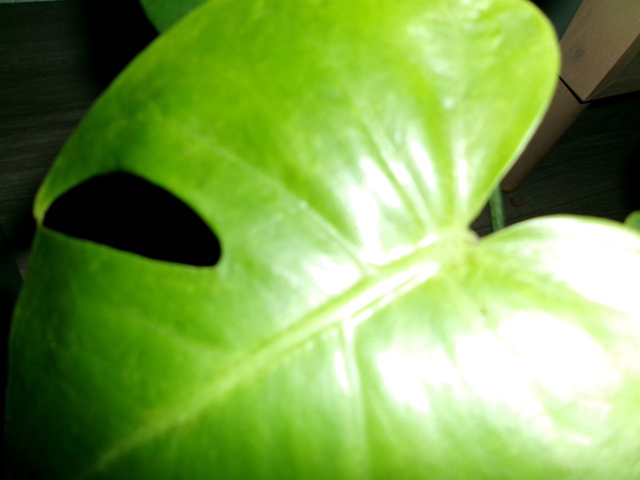 A photo taken on a Kodak PIXPRO FZ45 compact camera