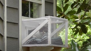 DIY cat window box plans