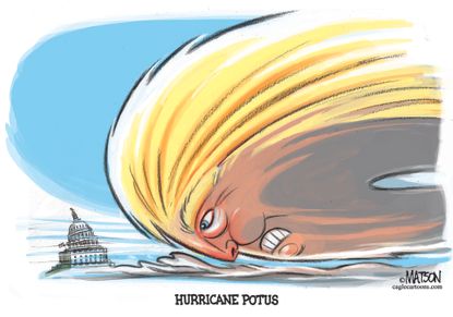 U.S. Trump hurricane POTUS