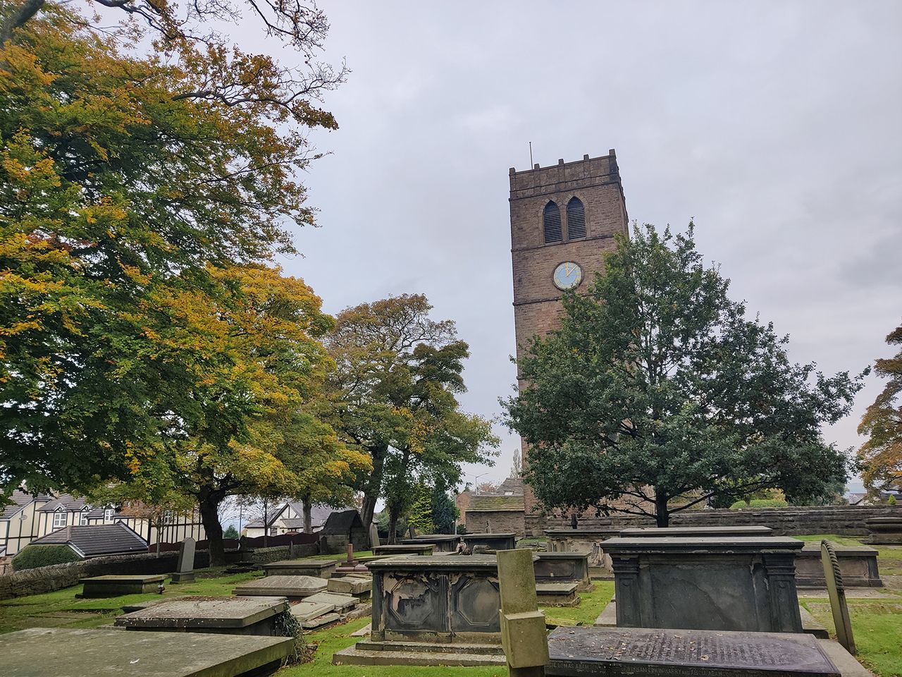 OnePlus 8T camera sample