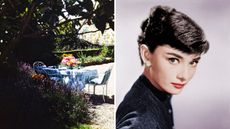 a split screen with audrey hepburn's outdoor table on the left and audrey hepburn on a white background on the right