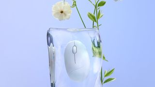 Asus Fragrance mouse frozen in a block of ice on blue background near flower.