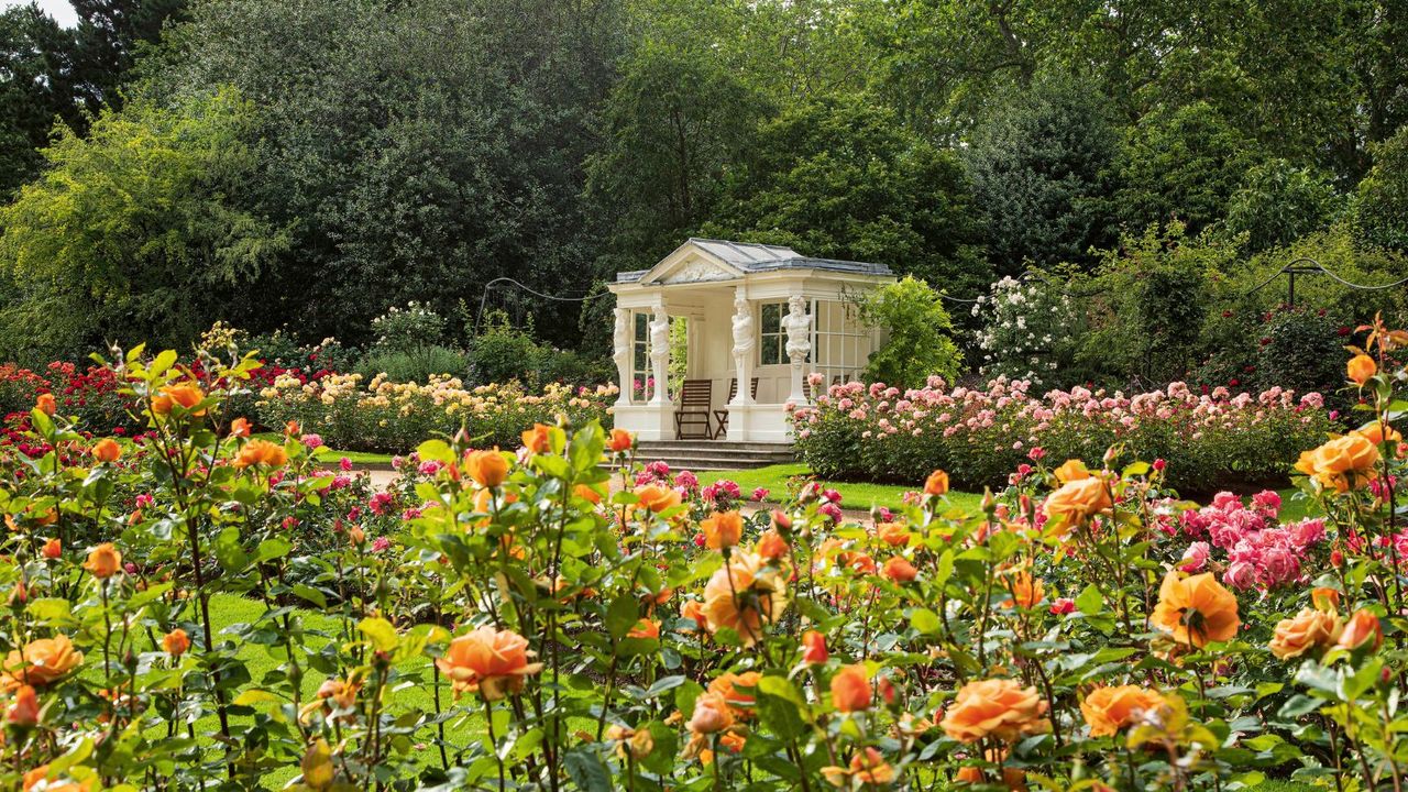 The expansive rose gardens at the palace gardens