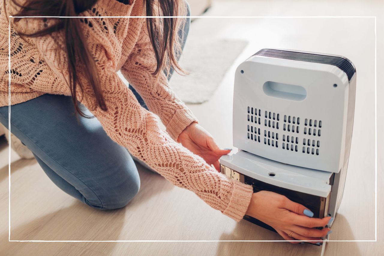 Woman cleaning out filter of dehumidifier that is located in a living room