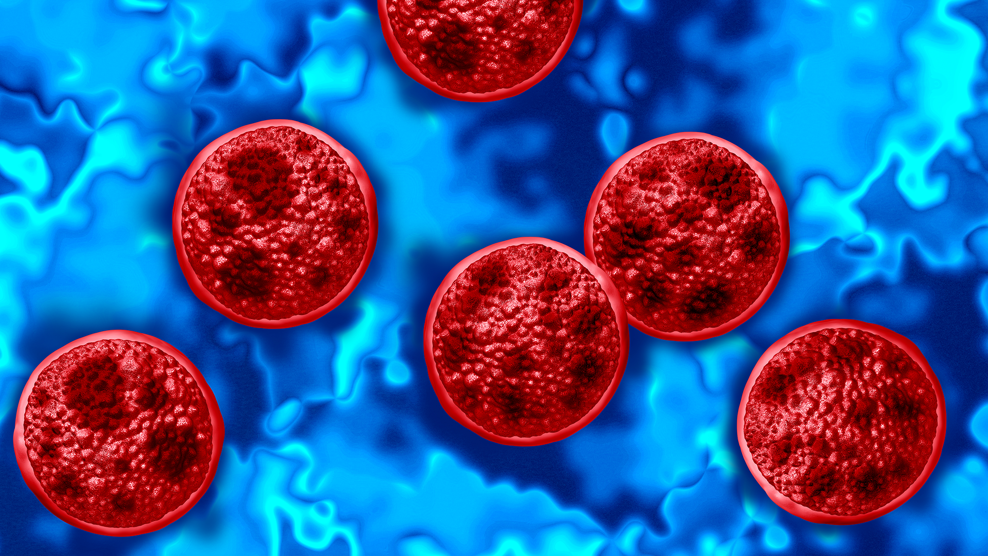 A close up of red spheres containing dark spheres within them against a blue patterned background