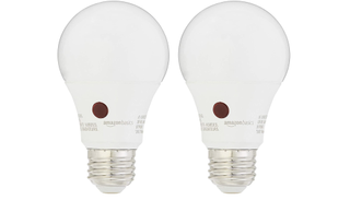 AmazonBasics Non-Dimmable Bulb