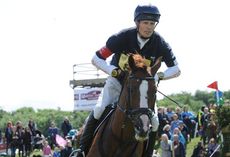 William Fox Pitt and Chilli Morning