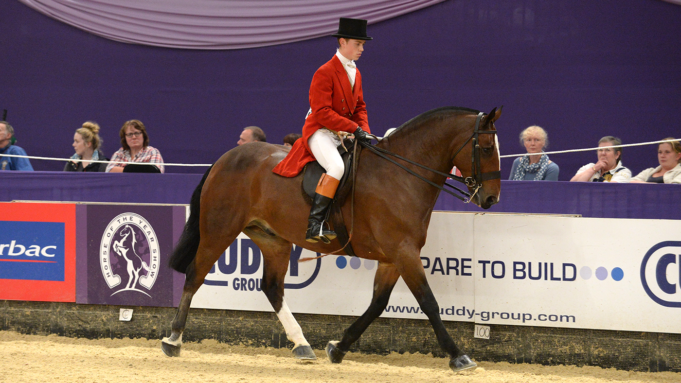 Will Morton WOODFIELD CHOICE William Morton