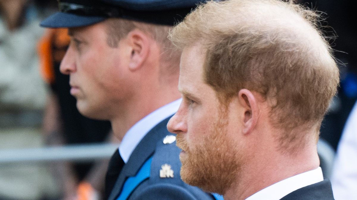 Prince Harry Rejected A Meetup With Prince William In A Blunt, Two-Word ...