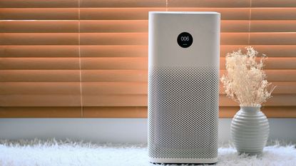 An air purifier next to a small vase of dried grass on the floor