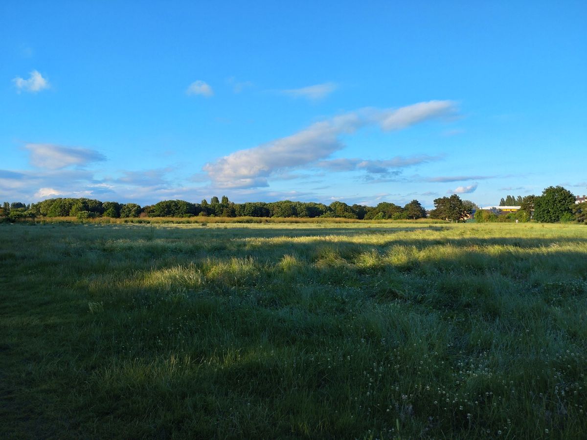 A field shot on the Xperia 10 III