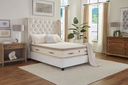 PlushBeds Botanical Bliss Organic Latex mattress review