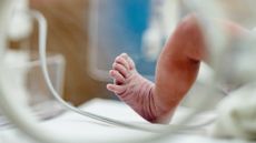 Baby foot in hospital incubator.