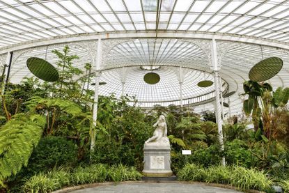 Indoor Botanical Garden With Statue In Center