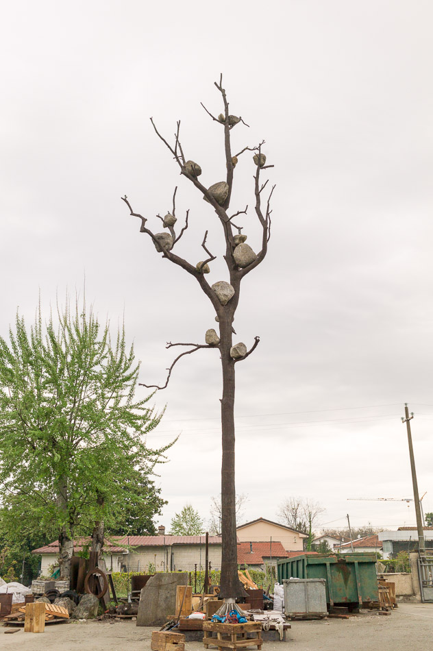 Idee di pietra &ndash; Quercia, 2017 in progressCortesia do artista | Courtesy of the artist