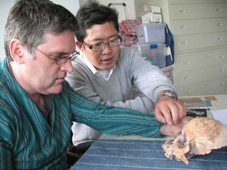 Darren Curnoe (left) and Ji Xueping (right) studying the Longlin skull from the Red Deer Cave, in 2010.