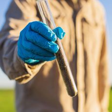A gloved hand holds a test tube of soil