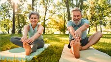 An older couple stretch while sitting on exercise mats in a park.