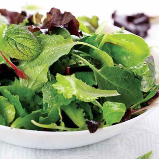 Salad Bowl Mix organic lettuce