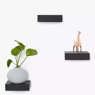room with black floating shelves on white wall and plant in white pot