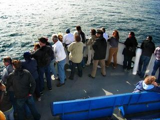 Whale watchers peer of the deck in search of gray whales during a Birch Aquarium whale watching cruise.