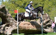 Nana Dalton Absolute Opposition Badminton wait-list