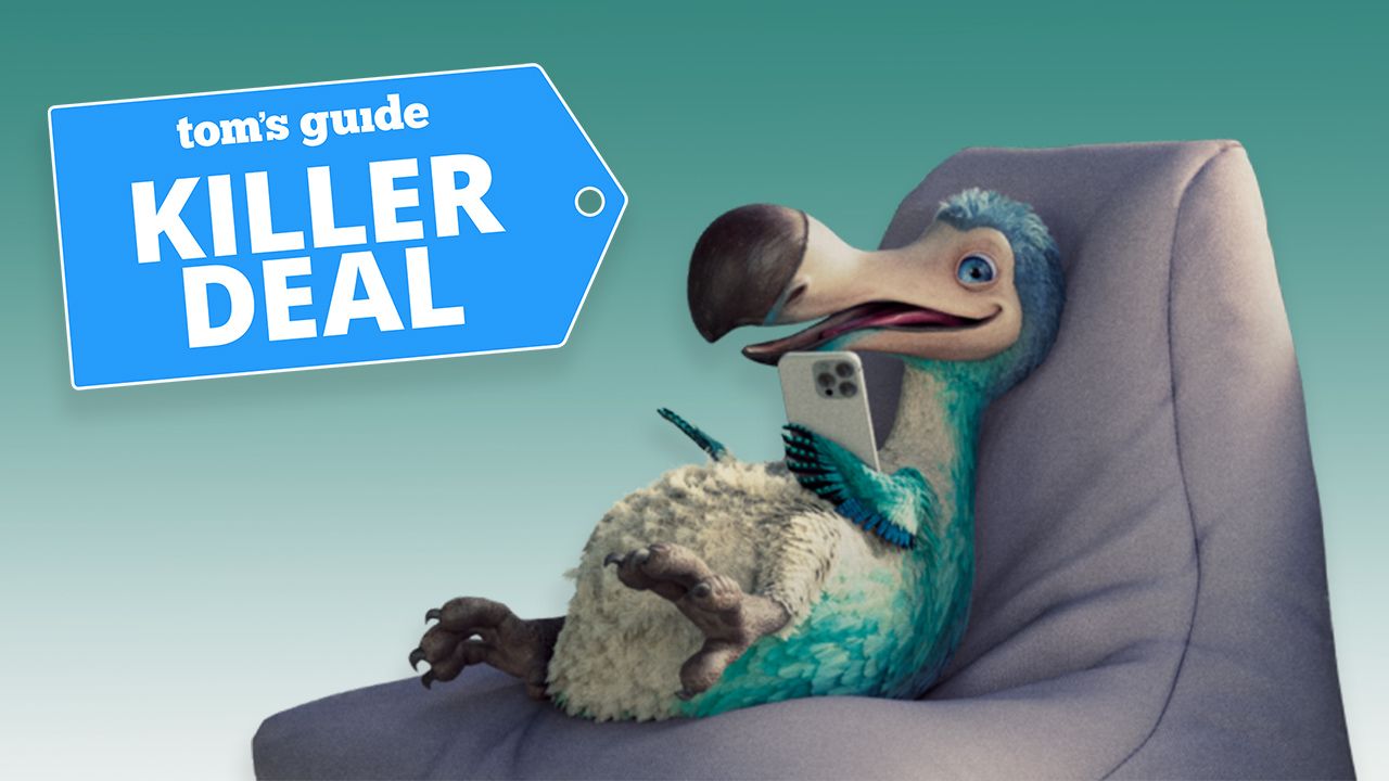 Dodo is offering 50% off its three top mobile plans for the first 4 ...