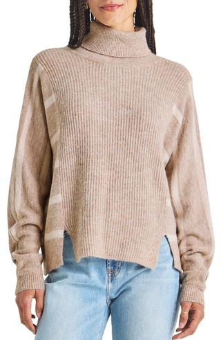 Bea Stripe Sleeve Rib Turtleneck Sweater