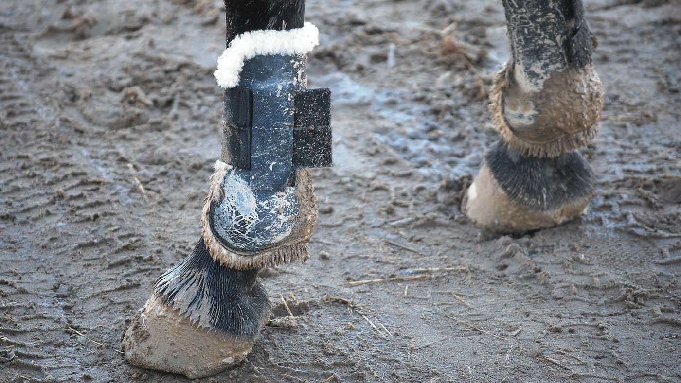 dirty boots