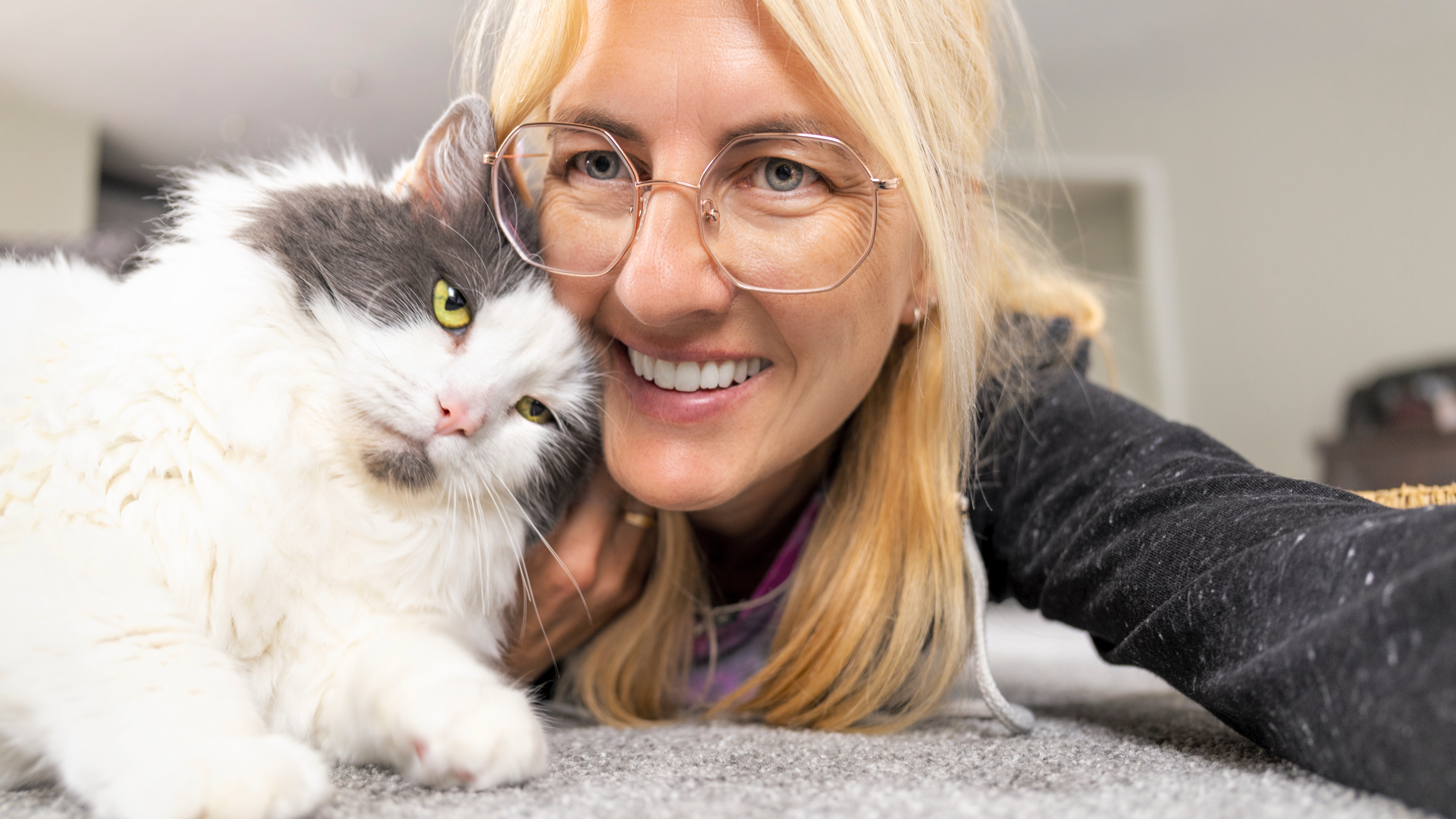 Cat head butting woman