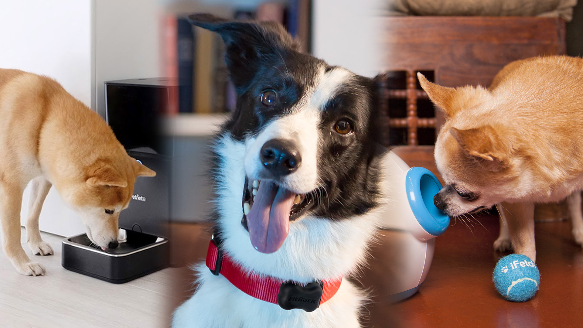 PupPod Interactive Dog Game and Treat-Tossing Pet Camera