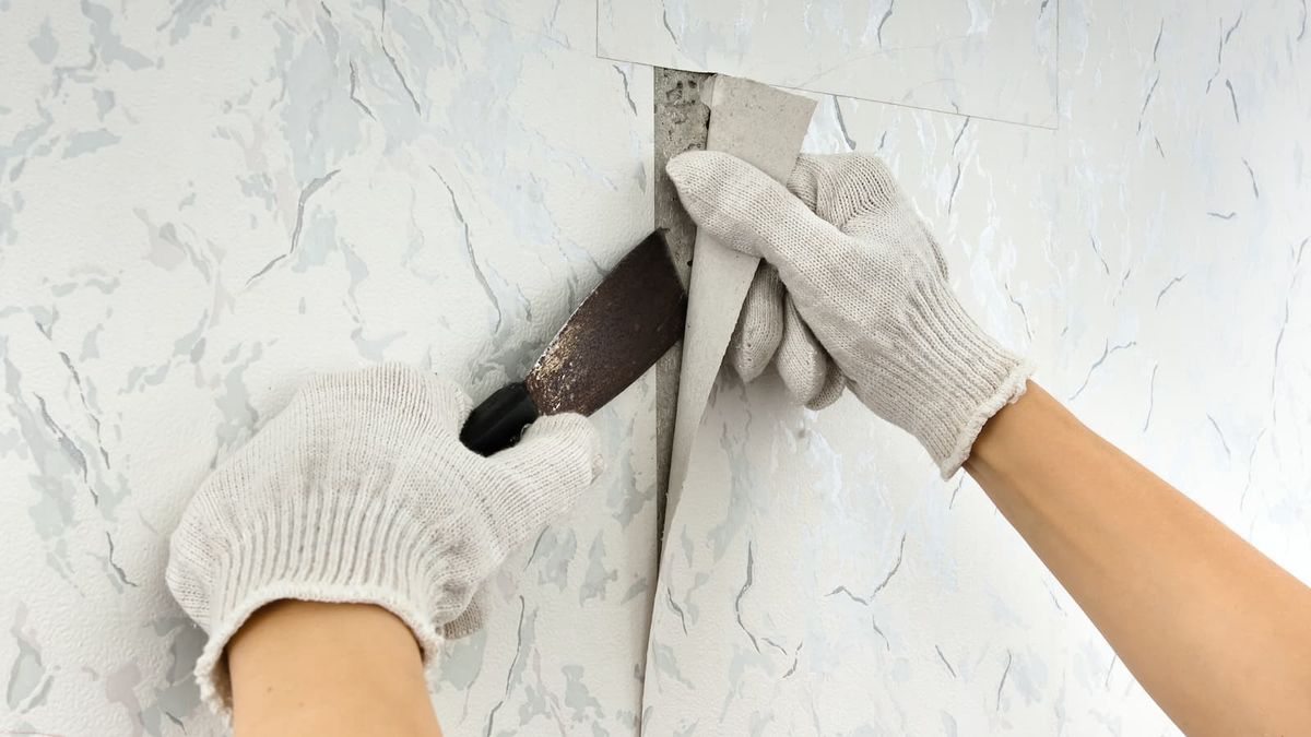 Renovator discovers hand-painted wallpaper ‘from 1903’