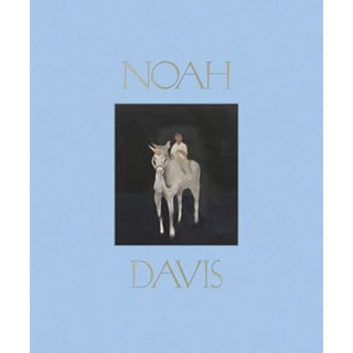 noah davis book