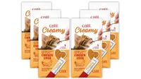 Best kitten treats