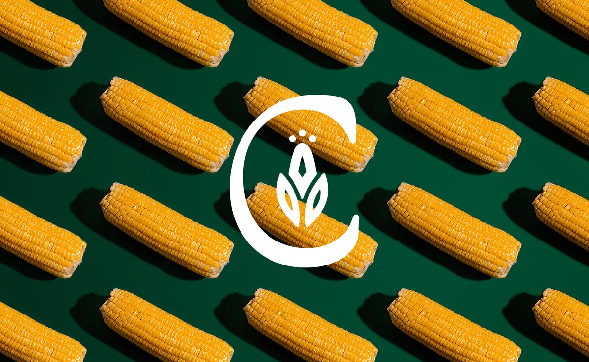 Logo mark for Calico Mill on a background of corn cobs, by Judith P Raynault