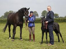 Charlotte Dujardin rehomes RSPCA pony