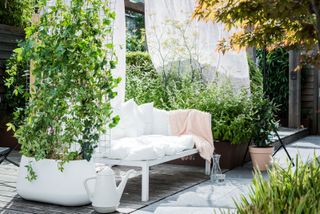 an outdoor sofa surrounded by plants