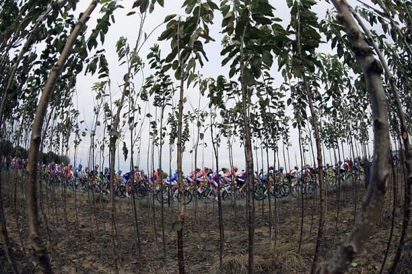 The men's world championship peloton in action.