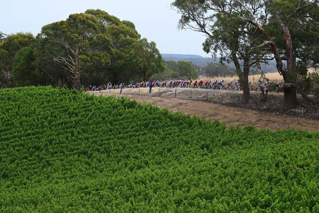 URAIDLA AUSTRALIA JANUARY 23 A general view of the peloton passing through a landscape during the 25th Santos Tour Down Under 2025 Stage 3 a 1475km stage from Norwood to Uraidla 491m UCIWT on January 22 2025 in Uraidla Australia Photo by Dario BelingheriGetty Images