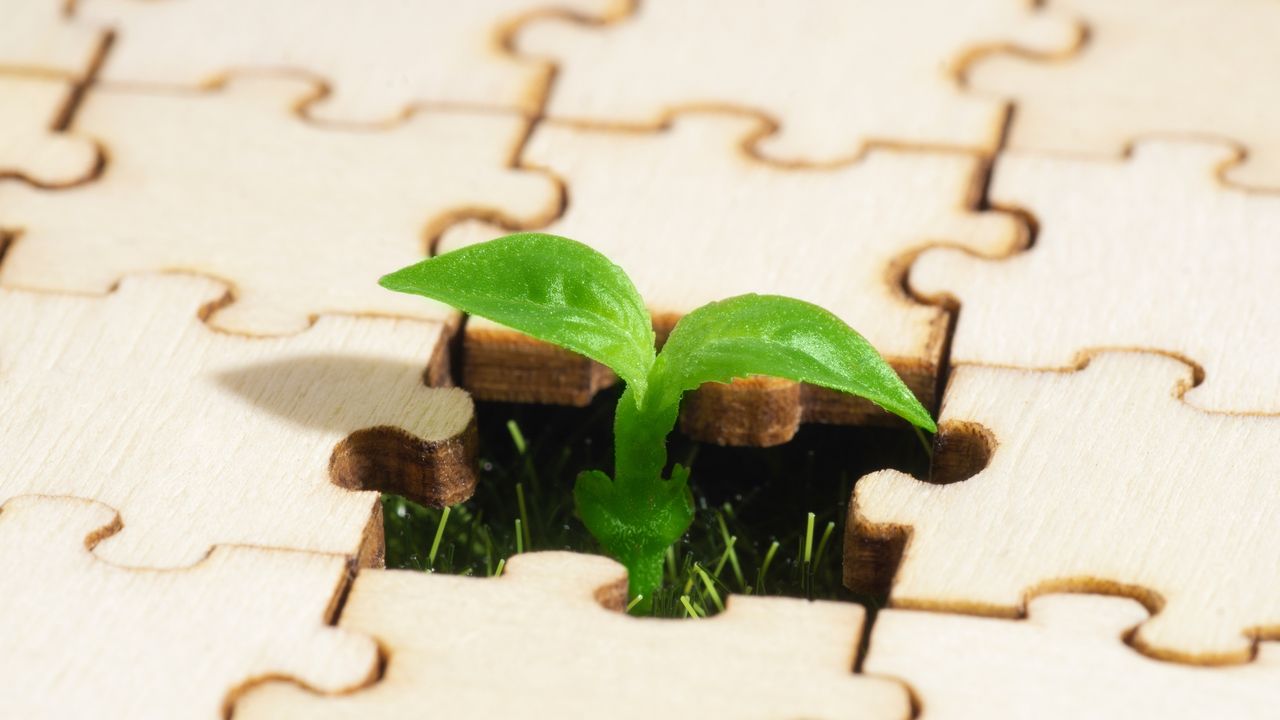 A green plant poking up between puzzle pieces.